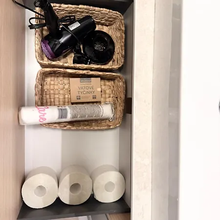 Apartmán River Vibe Vídeňská *